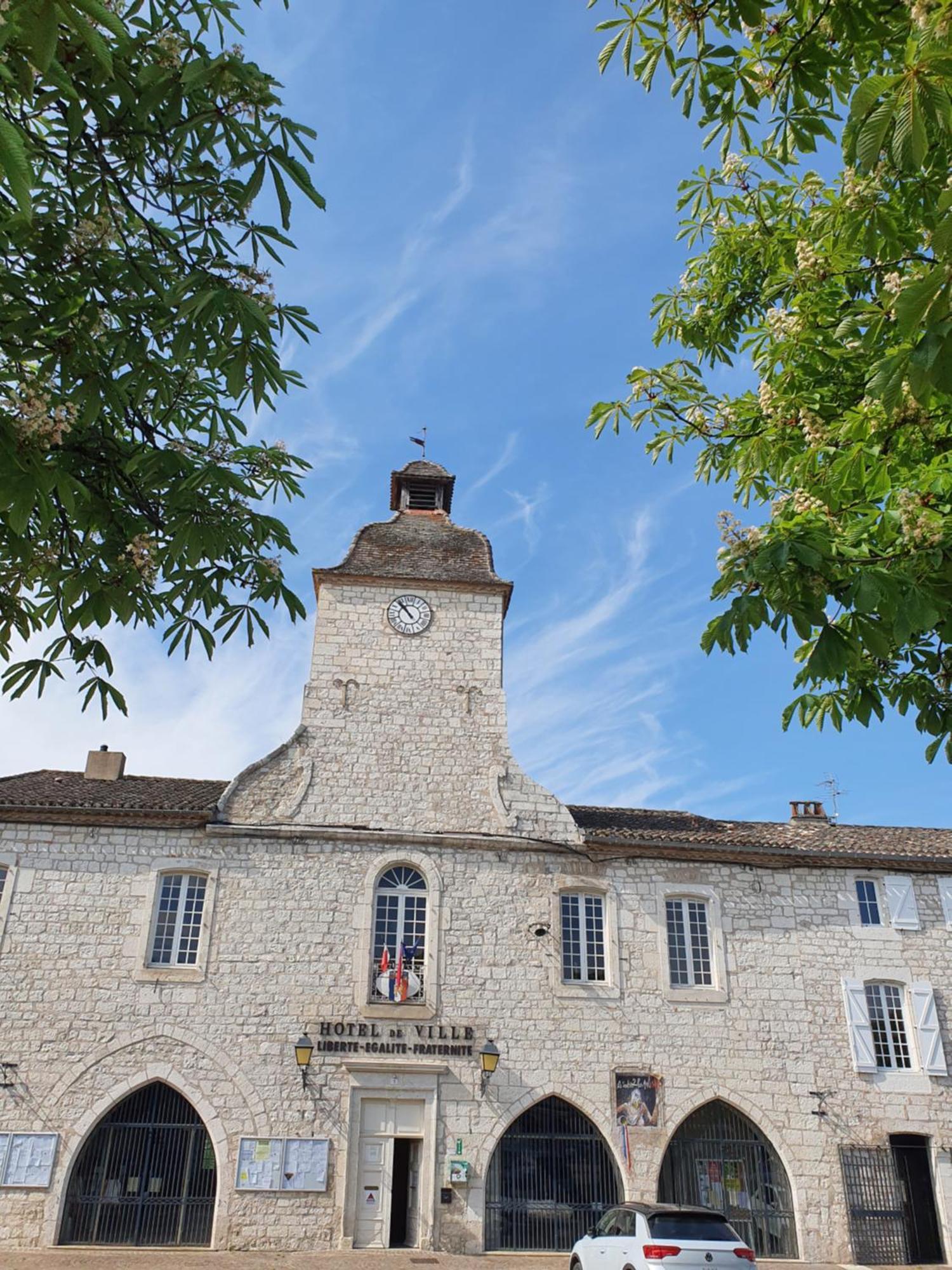 Bed and Breakfast La Cour Saint Louis Castelnau-Montratier Zewnętrze zdjęcie
